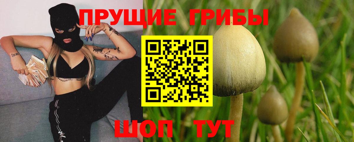 Ленинск-Кузнецкий  Галлюциногенные грибы Psilocybine cubensis  Галлюциногенные грибы мухоморы  Вход с VPN 